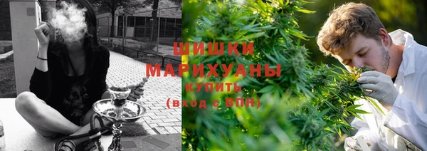 стаф Нестеровская