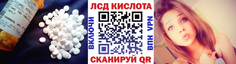 даркнет сайт Элиста Лсд 25 экстази кислота
